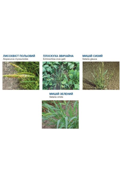 Дикамба Форте